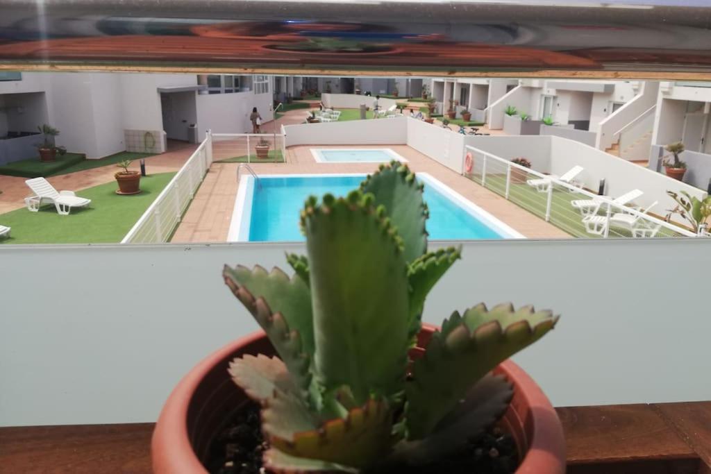 Blue Ocean Corralejo: Sunny Terrace, Pool, Wifi Leilighet Eksteriør bilde